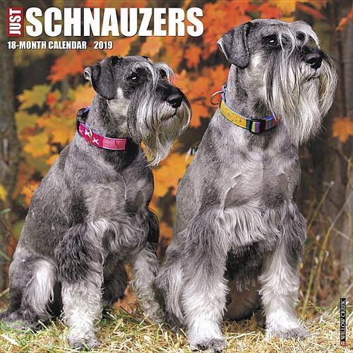 Just Schnauzers 2019 Wall Calendar (Dog Breed Calendar)