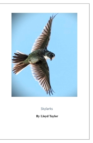 Skylarks