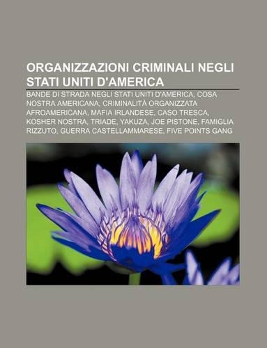 Organizzazioni Criminali Negli Stati Uniti D'America