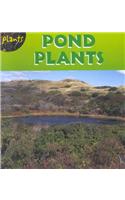 Pond Plants