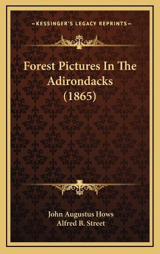 Forest Pictures In The Adirondacks (1865)