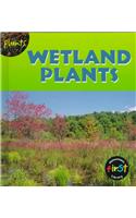 Wetland Plants