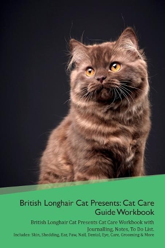 British Longhair Cat Presents