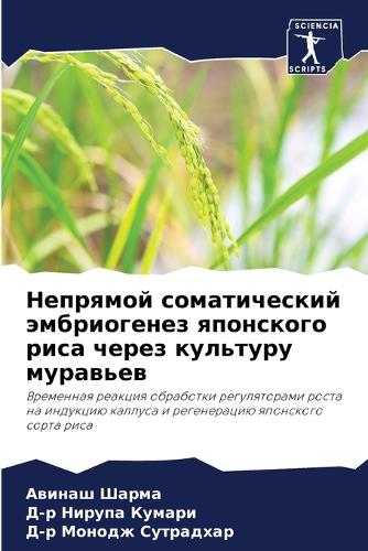 Непрямой соматический эмбриогенез японс&