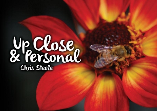 UP CLOSE AND PERSONAL