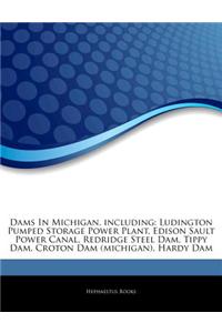 Articles on Dams in Michigan, Including