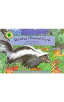 Skunk at Hemlock Circle