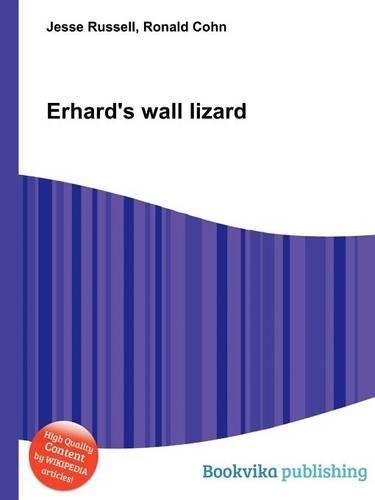 Erhard's Wall Lizard