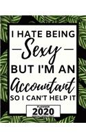 I Hate Being Sexy But I'm An Accountant