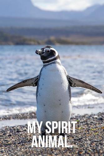 My Spirit Animal