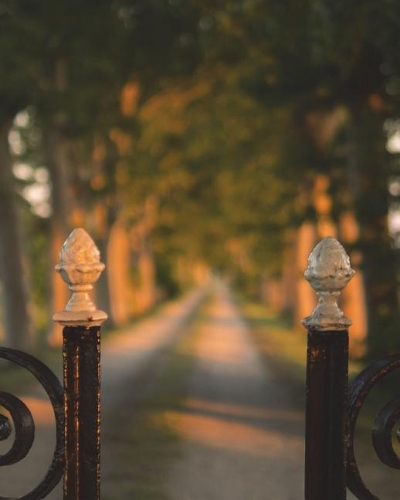 Organize.Plan.Create