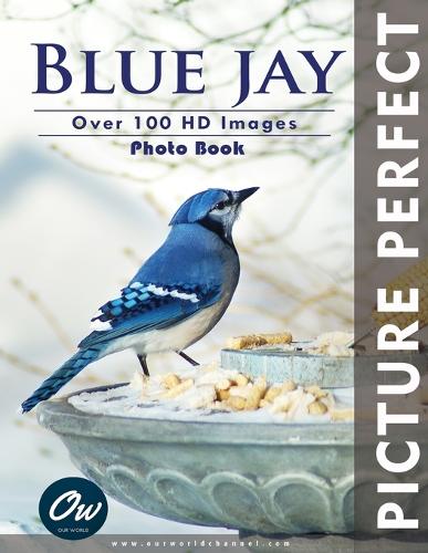 Blue Jay