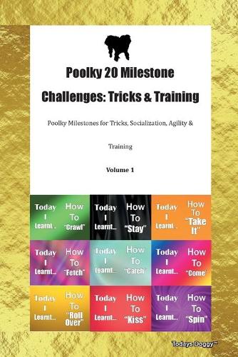 Poolky 20 Milestone Challenges