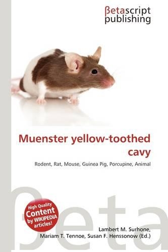 Muenster Yellow-Toothed Cavy