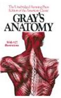 Gray's Anatomy
