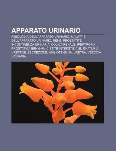 Apparato Urinario