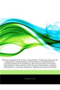 Articles on Native Grasses of Texas, Including