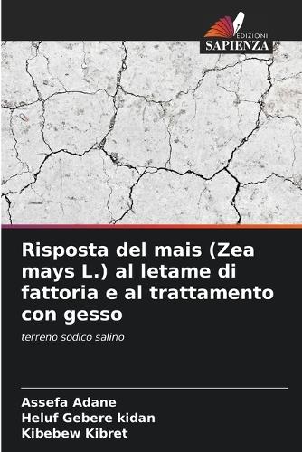 Risposta del mais (Zea mays L.) al letame di fattoria e al trattamento con gesso