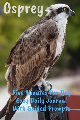 Osprey Five Minutes Per Day Easy Daily Journal With Guided Prompts