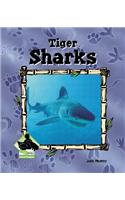 Tiger Sharks