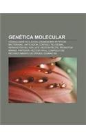 Genetica Molecular