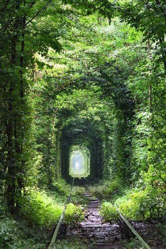 Tunnel of Love in Ukraine Journal