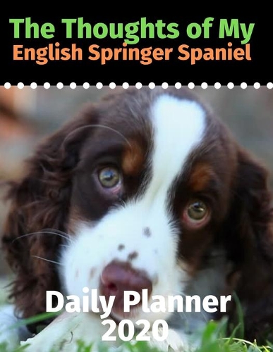 The Thoughts of My English Springer Spaniel