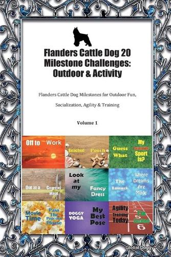 Flanders Cattle Dog 20 Milestone Challenges