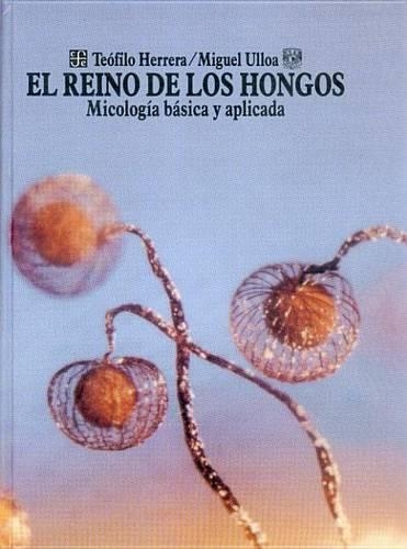 El Reino de Los Hongos