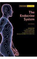 The Endocrine System