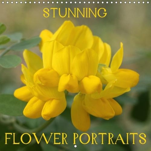 Stunning Flower Portraits 2018