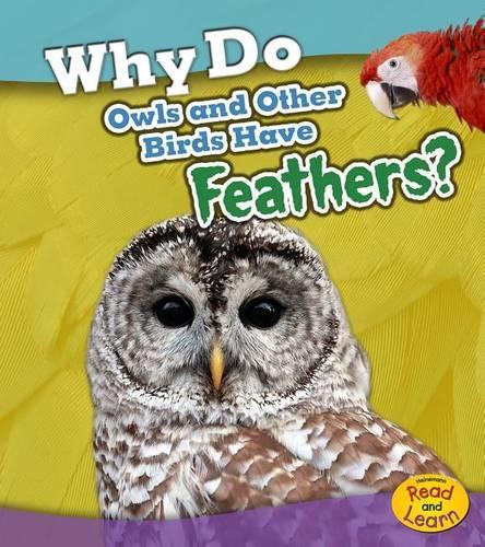 Animal Body Coverings Why Do Owls and Other Birds Have Feathers?