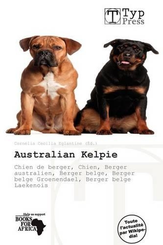 Australian Kelpie