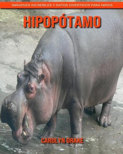 Hipopótamo