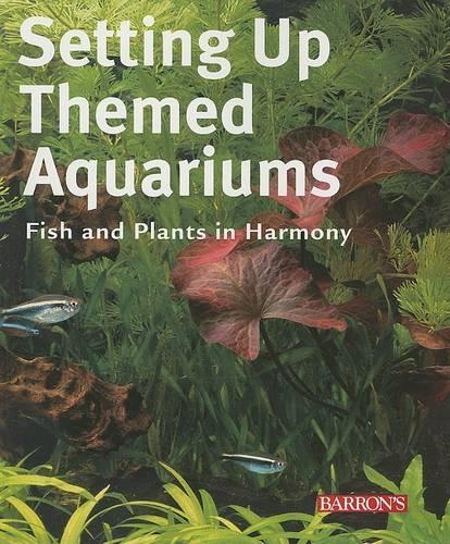 Setting Up Themed Aquariums