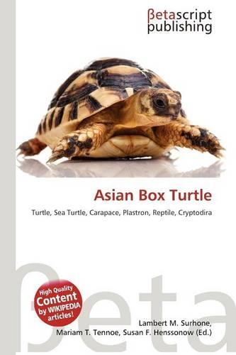 Asian Box Turtle