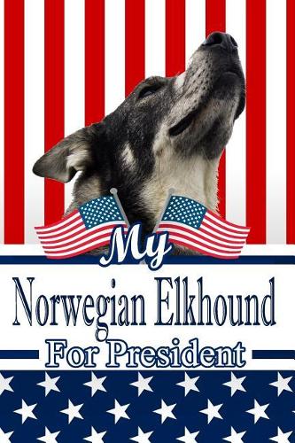 My Norwegian Elkhound for President