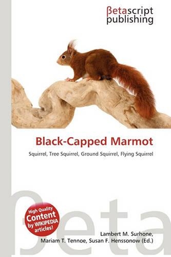 Black-Capped Marmot