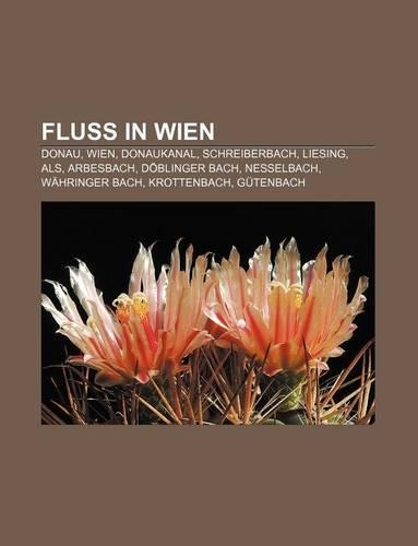 Fluss in Wien