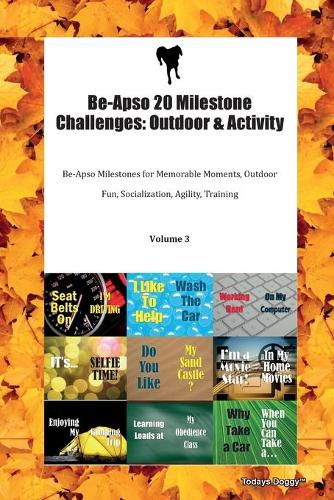 Be-Apso 20 Milestone Challenges