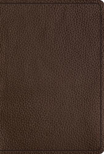 ESV Women's Study Bible