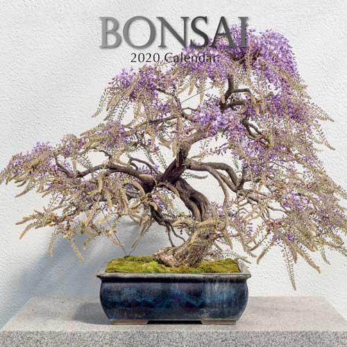 Bonsai