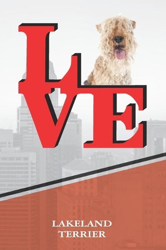 Lakeland Terrier