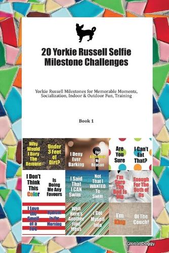 20 Yorkie Russell Selfie Milestone Challenges