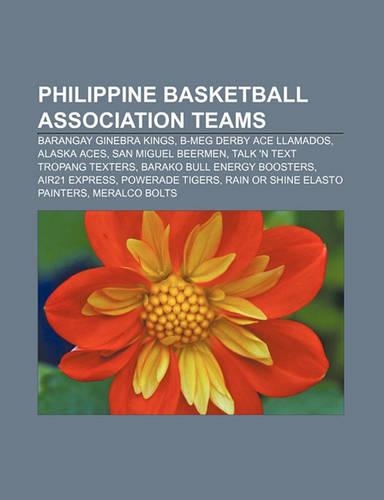 Philippine Basketball Association Teams