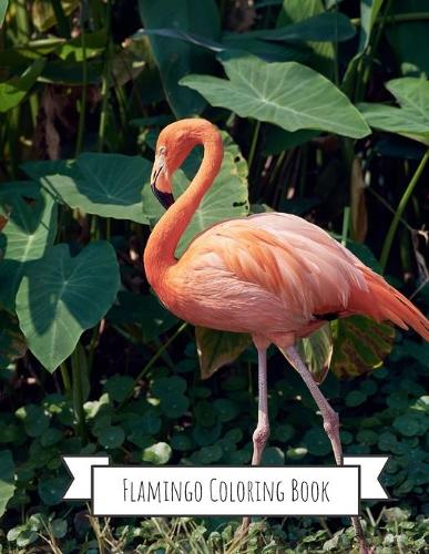 Flamingo Coloring Book