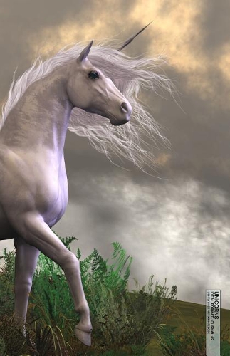 Unicorns Ideal Format Journal #2