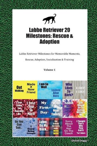 Labbe Retriever 20 Milestones