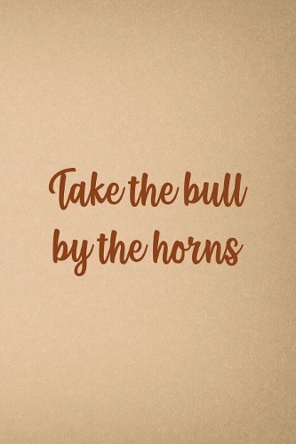 Take The Bull By The Horns