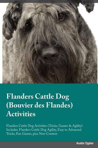 Flanders Cattle Dog Bouvier des Flandes Activities Flanders Cattle Dog Activities (Tricks, Games & Agility) Includes